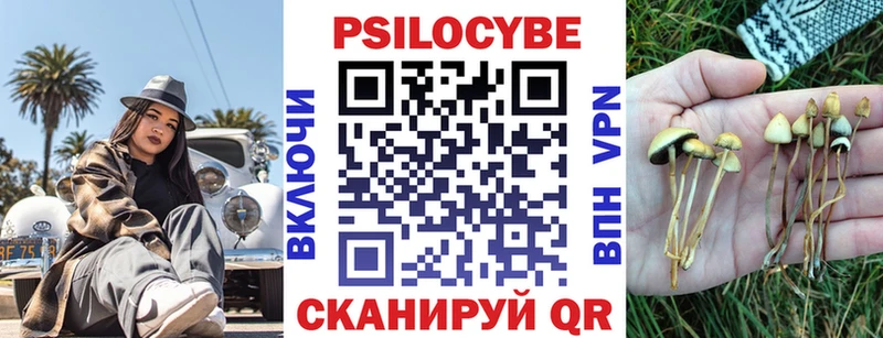 хочу   Кольчугино  Псилоцибиновые грибы Psilocybine cubensis 