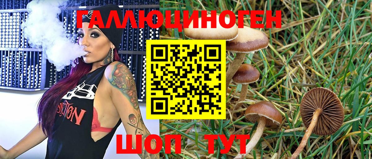 APVP Кольчугино