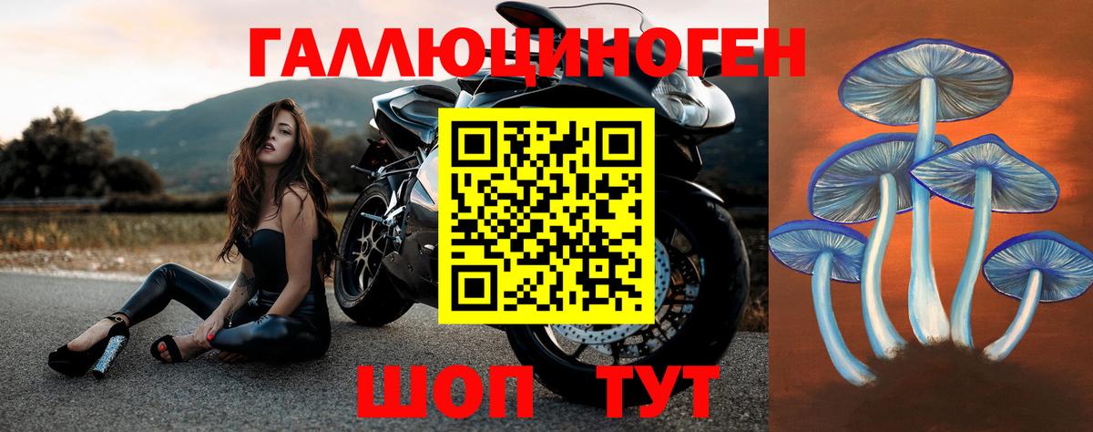 Кольчугино  Псилоцибиновые грибы Psilocybine cubensis  Вход с VPN 