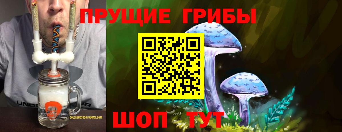 Галлюциногенные грибы ЛСД Кольчугино