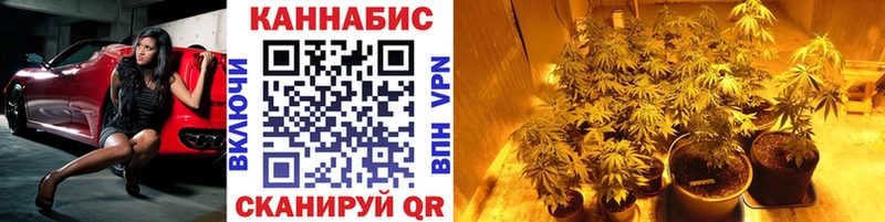 МАРИХУАНА планчик  Кольчугино 